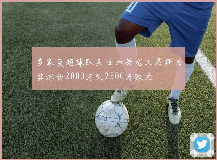 多家英超球队关注加蒂尤文图斯为其标价2000万到2500万欧元