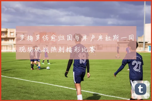 罗梅罗伤愈归国与库卢库杜斯一同现场观战热刺精彩比赛